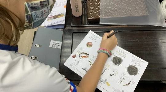 イメージ：親子で楽めるファミリープラン